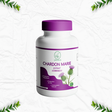 Chardon-mari.png